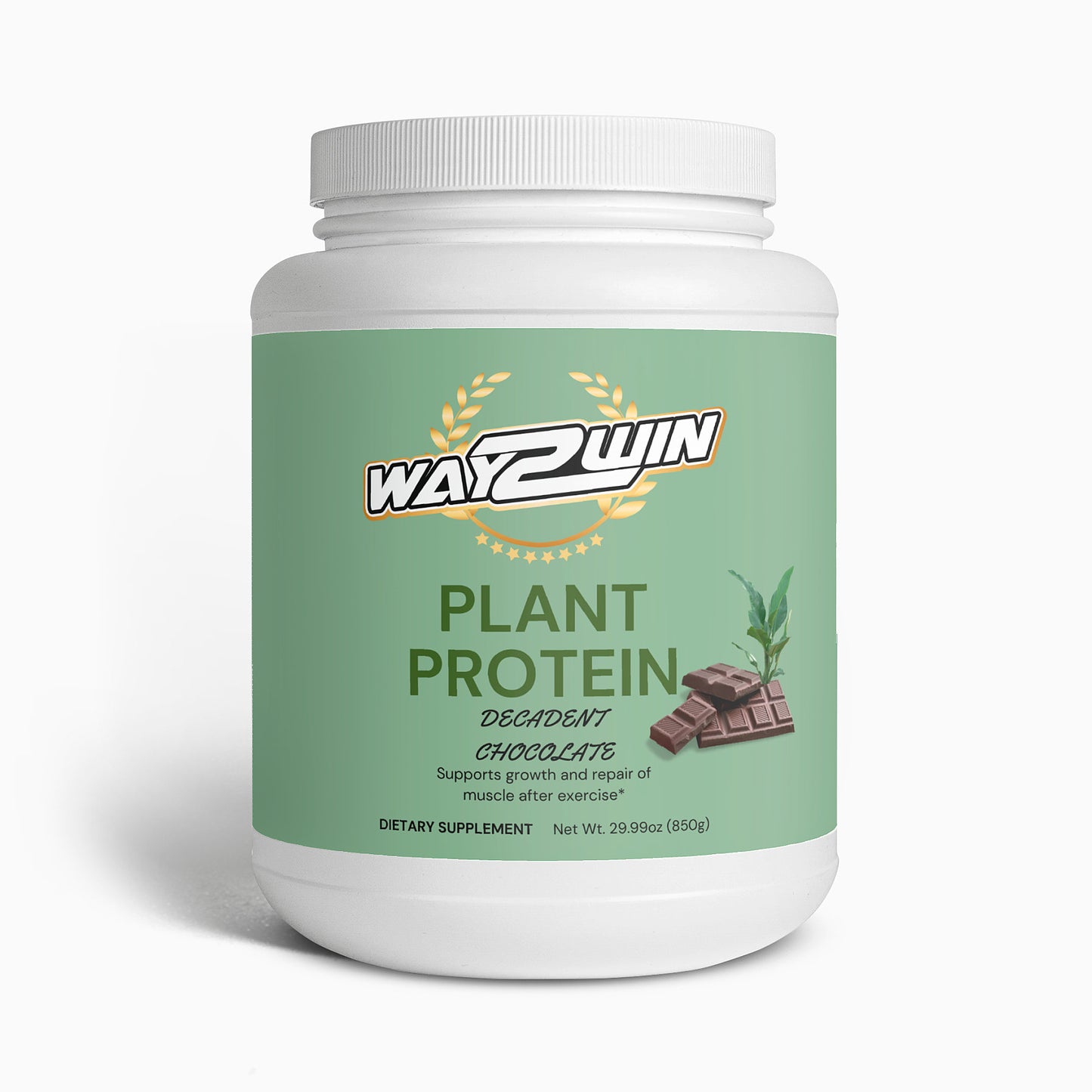 Plant Protein (Chocolate)