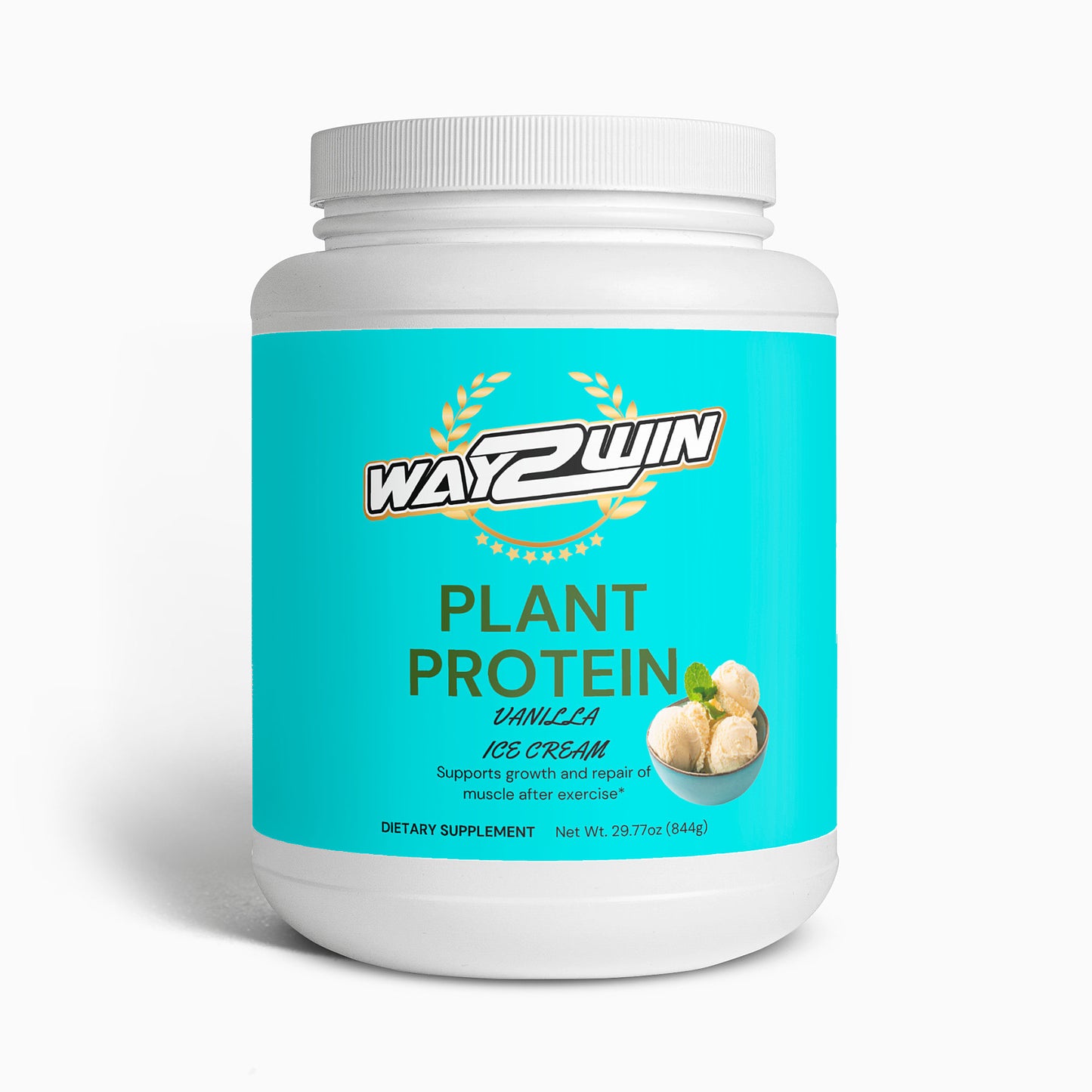 Plant Protein (Vanilla)