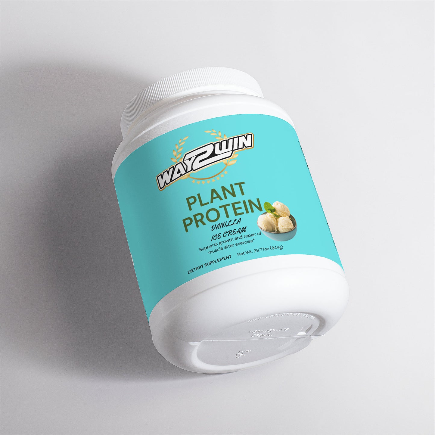 Plant Protein (Vanilla)